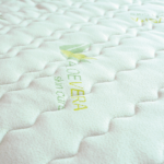 ALOEVERA 1024x1024 1